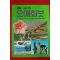 1980년대 오애화보