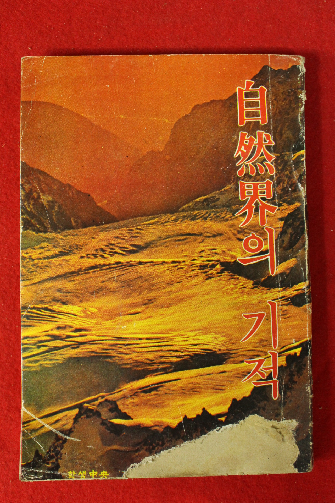 1978년 학생중앙별책부록 자연계의 기적