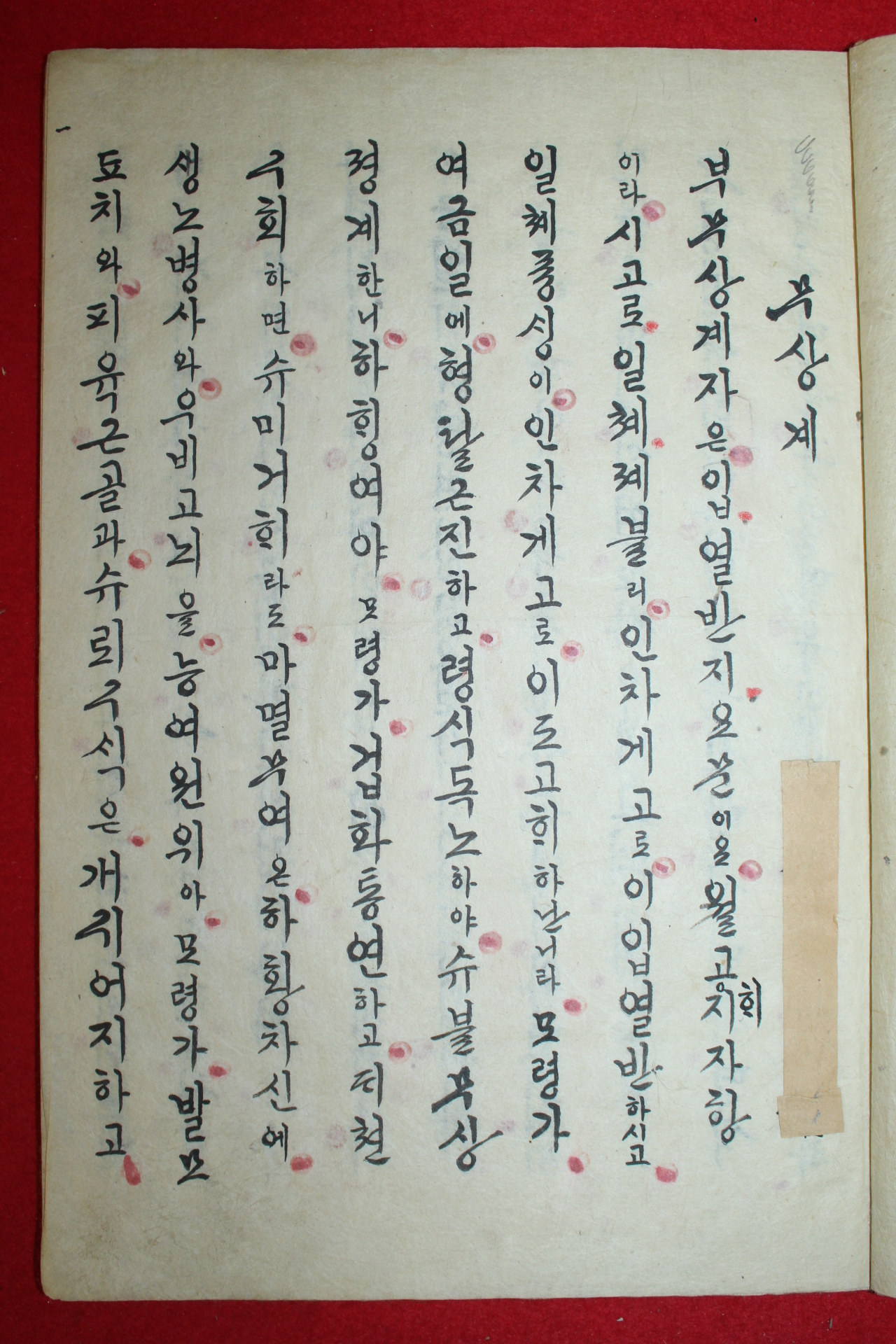 조선시대 아름다운필체의 순언문필사본 불경 다비문