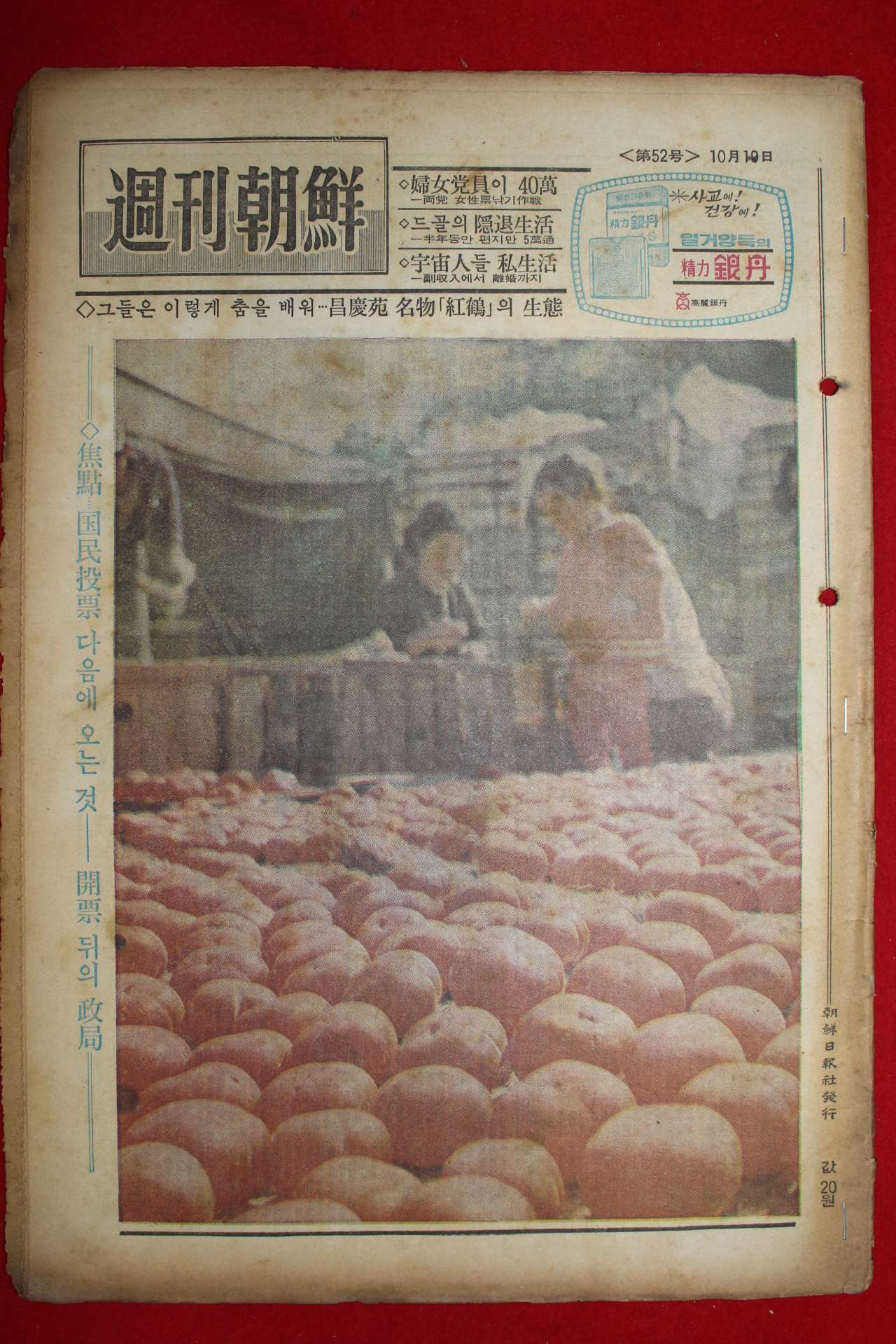 1969년 주간조선 10월19일자