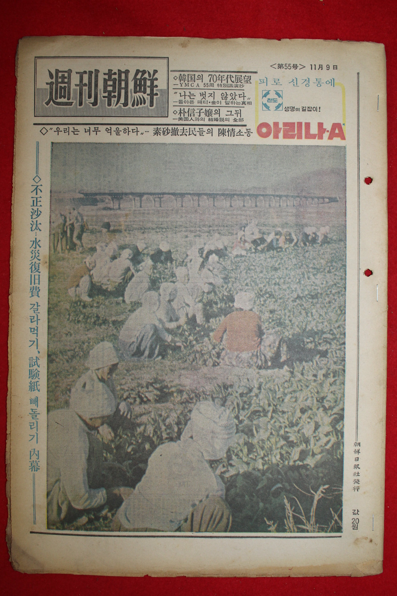 1969년 주간조선 11월9일자