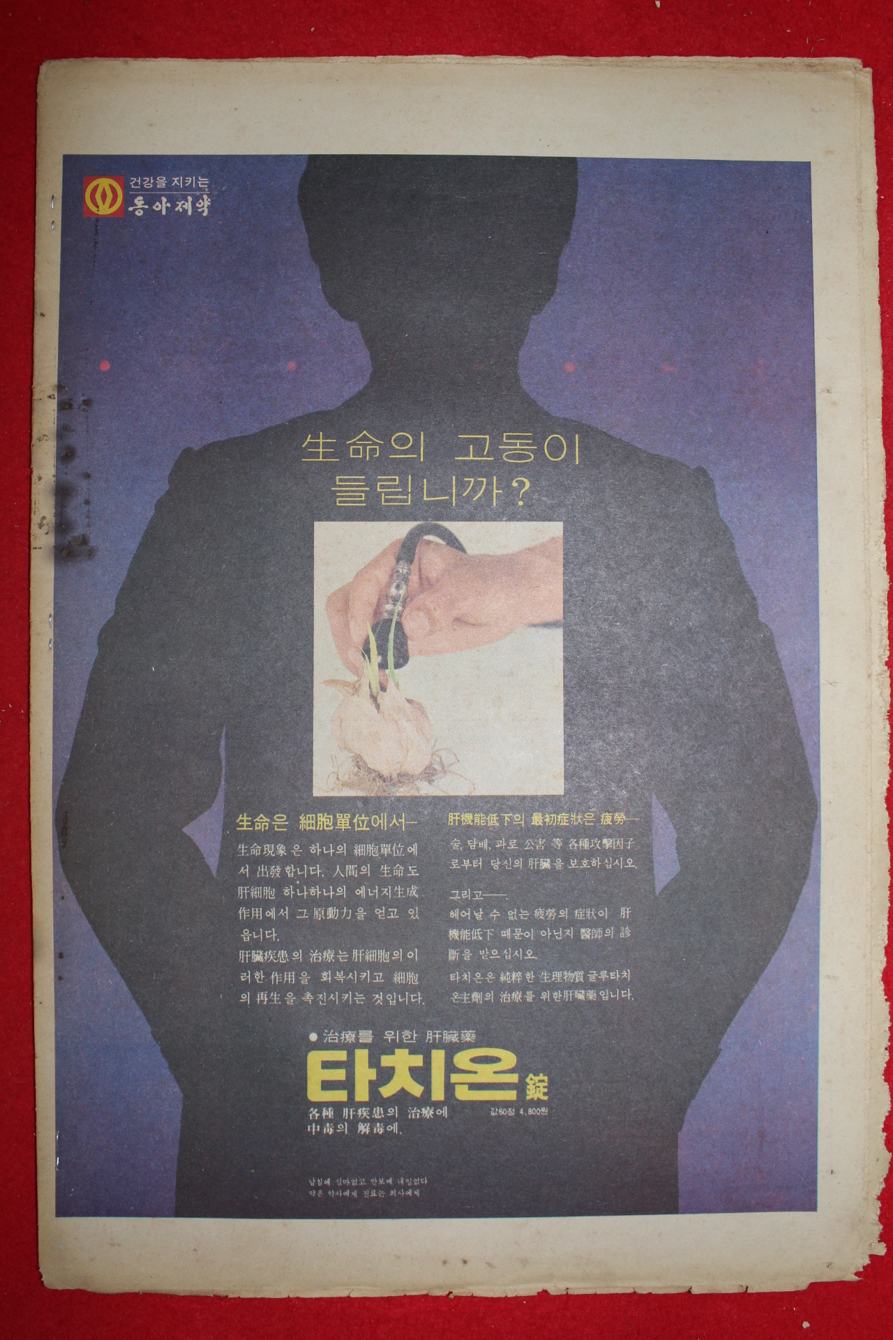 1975년 주간조선 11월23일자