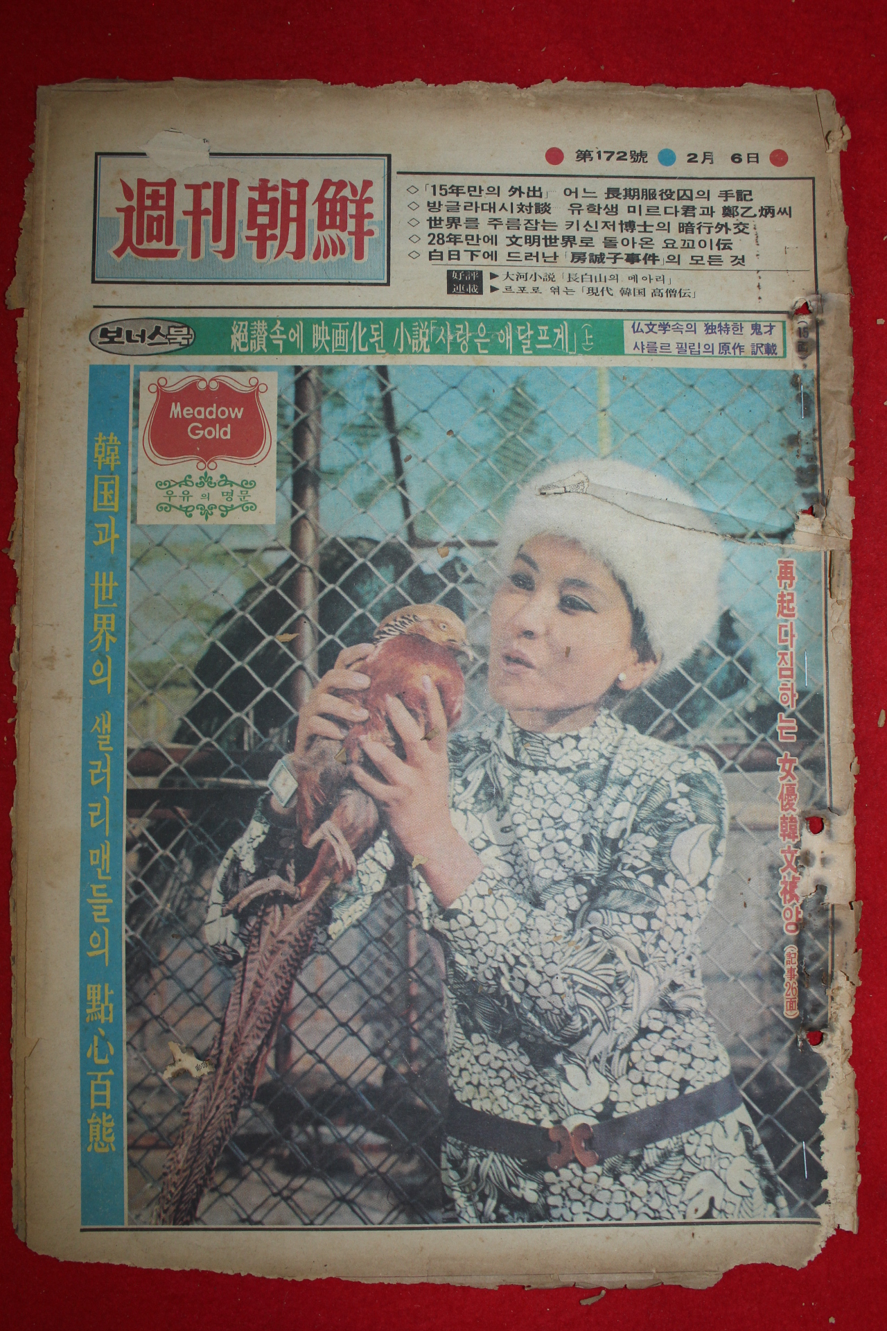 1972년 주간조선 2월6일자
