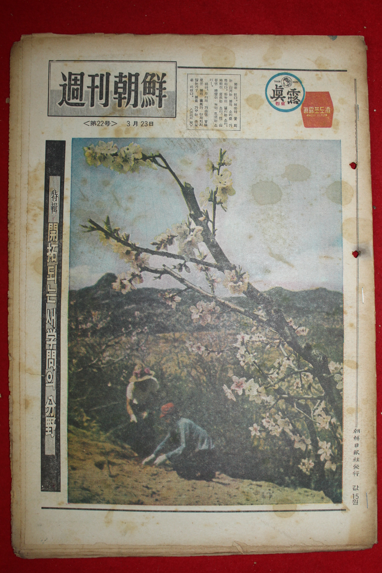1969년 주간조선 3월23일자