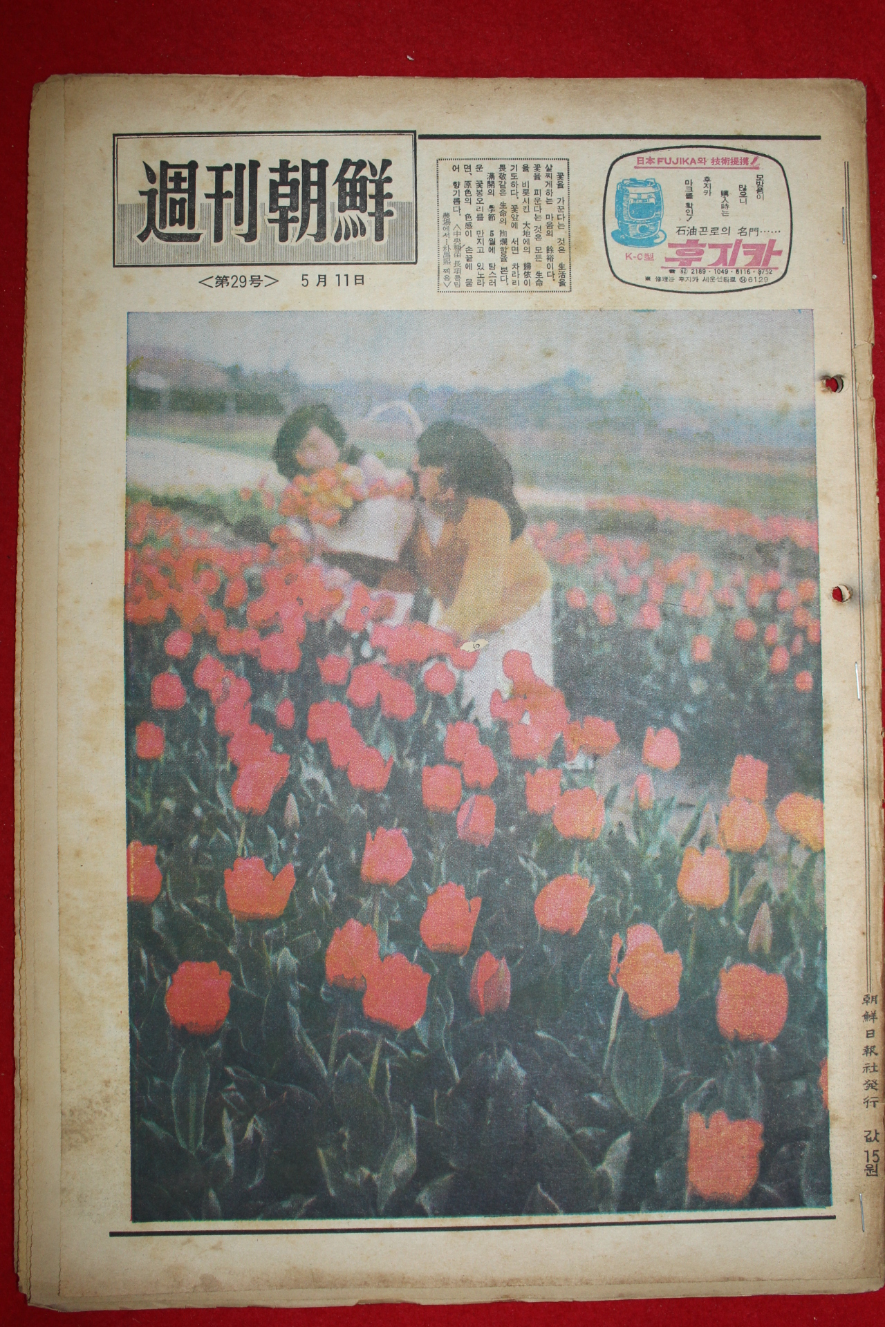 1969년 주간조선 5월11일자