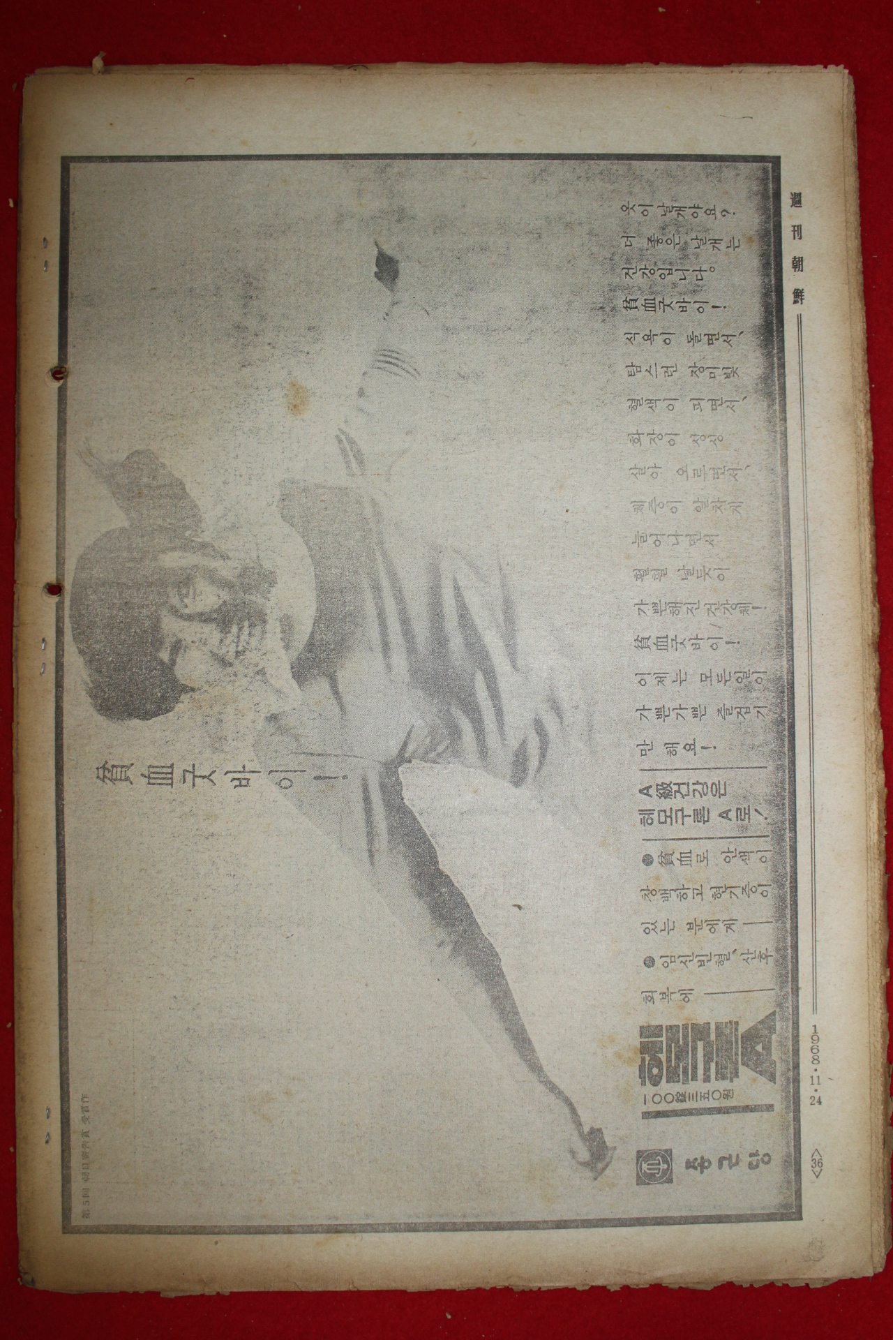 1968년 주간조선 11월24일자 제6호