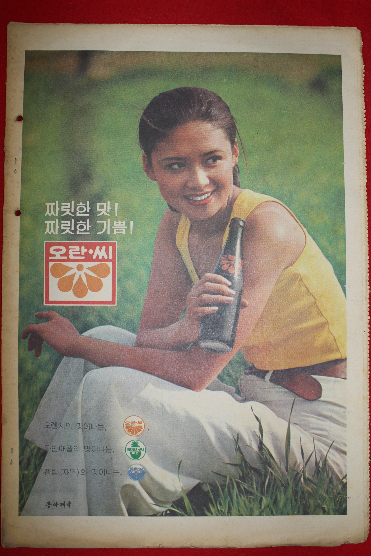 1975년 주간조선 6월15일자