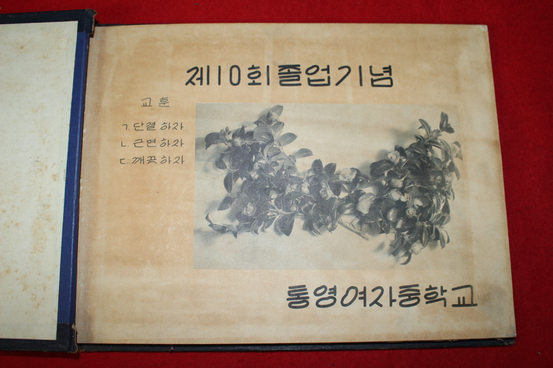 1959년 통영여자중학교 제10회 졸업기념 앨범