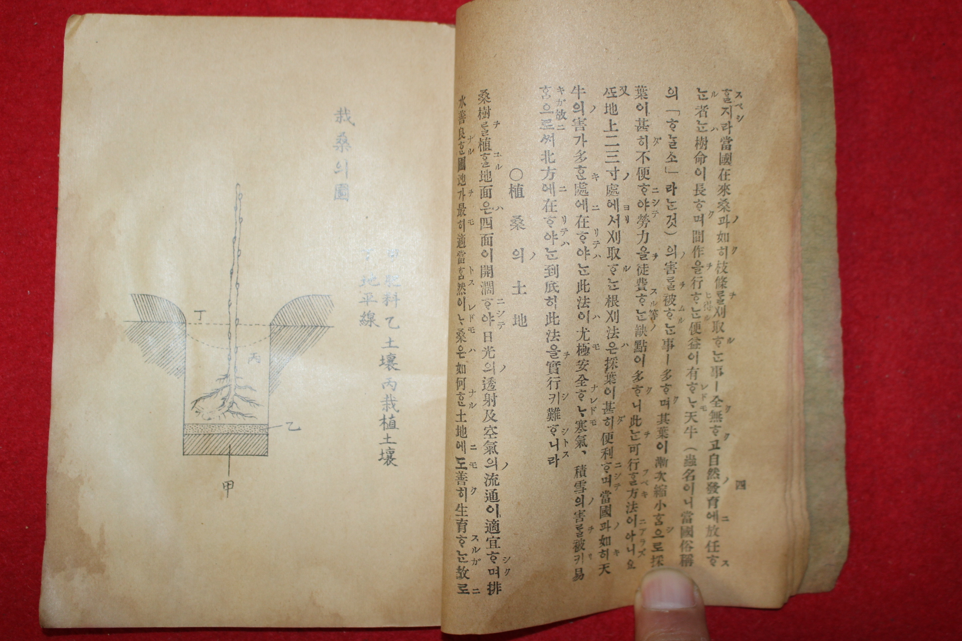 1910년(융희4년) 경기도수원 간행 잠상요의(蠶桑要義)
