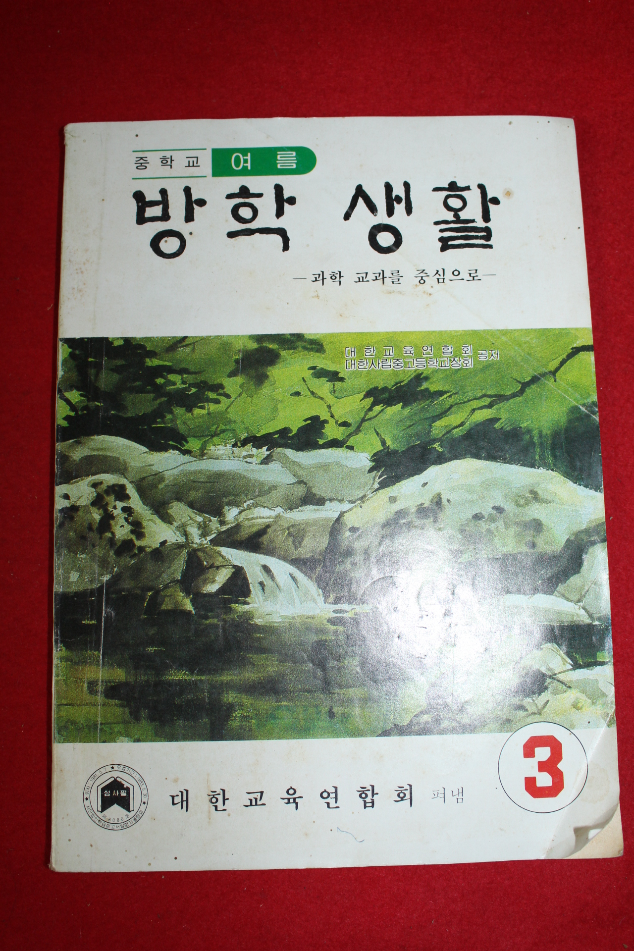 1981년 중학교 여름 방학생활 3