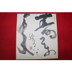 직접쓴 작가의 글