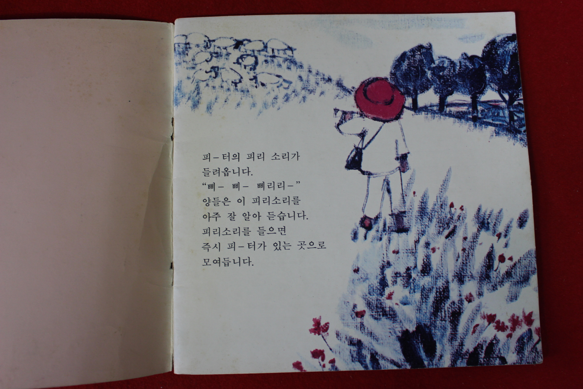 1979년 성바오로출판사 양치는 피터