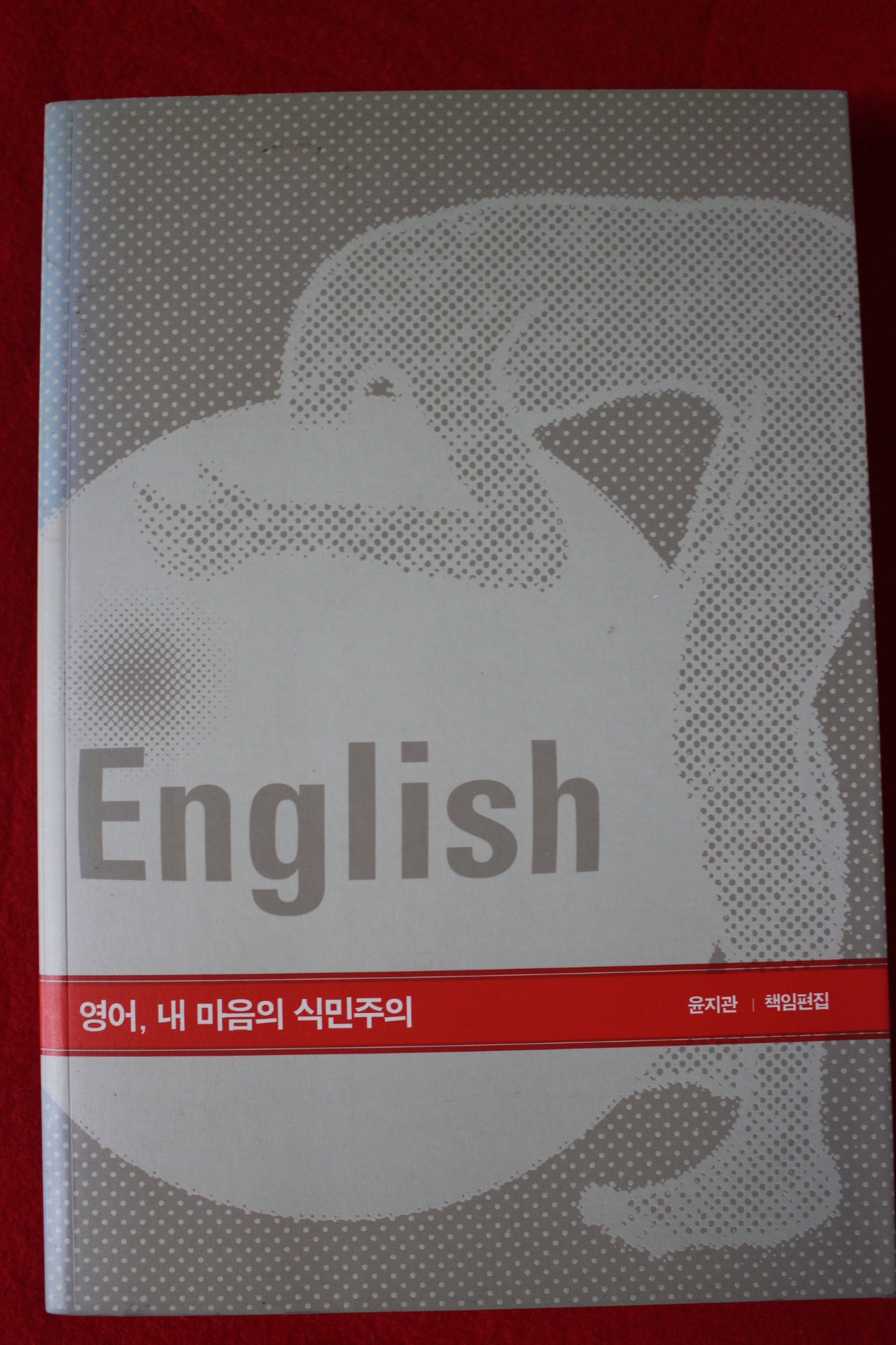 2007년 윤지관 영어 내 마음의 식민주의