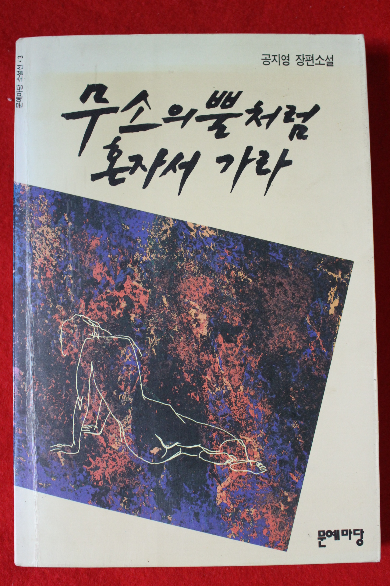 1993년 공지영 장편소설 무소의 뿔처럼 혼자서 가라
