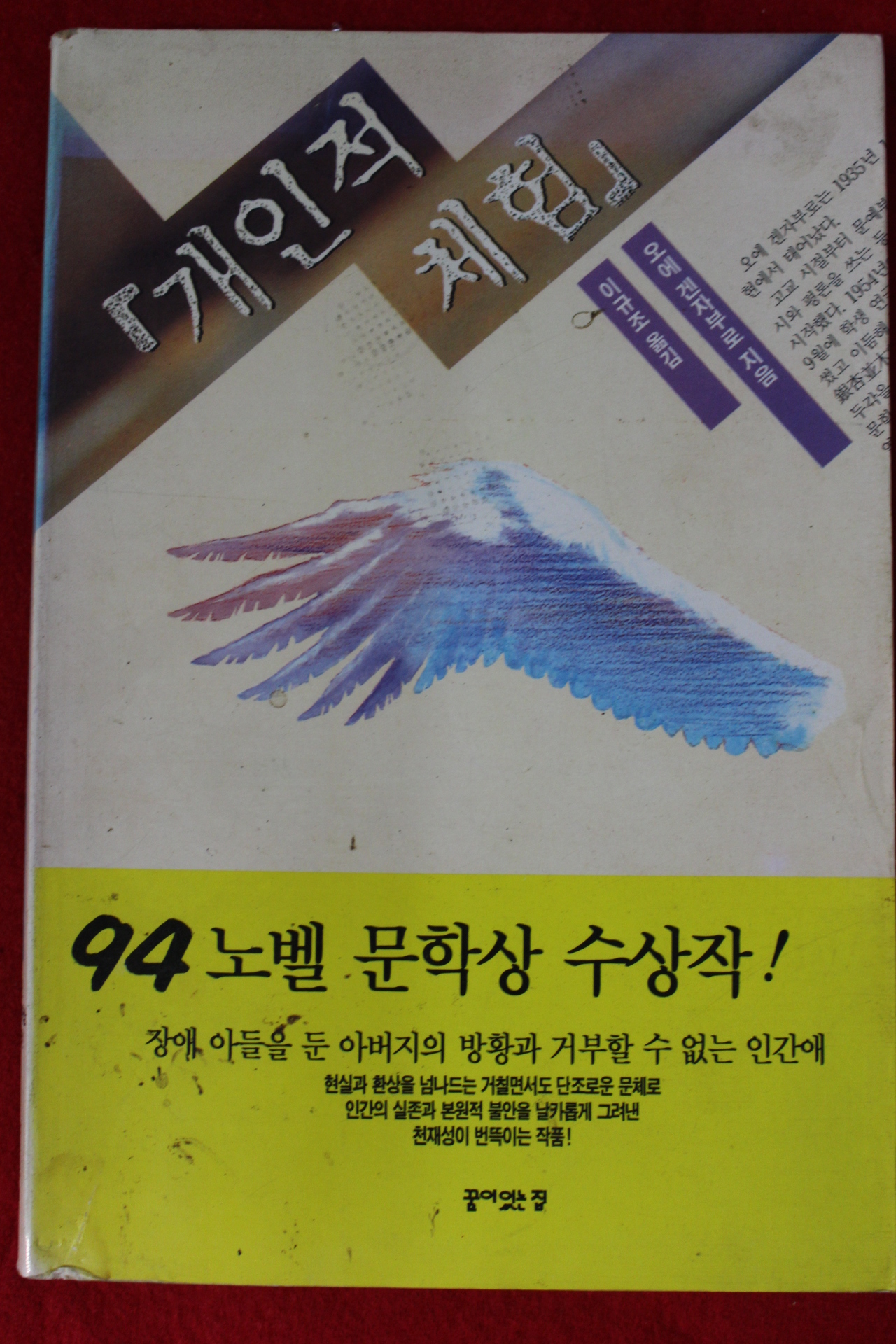 1994년 오에 겐자부로 개인적 체험