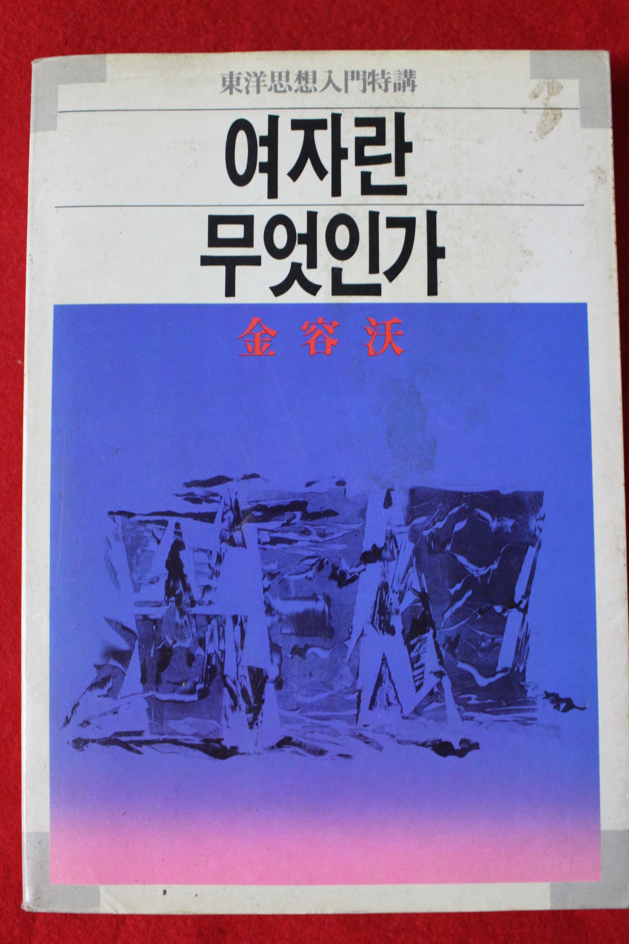 1991년 김용옥(金容沃) 여자란 무엇인가