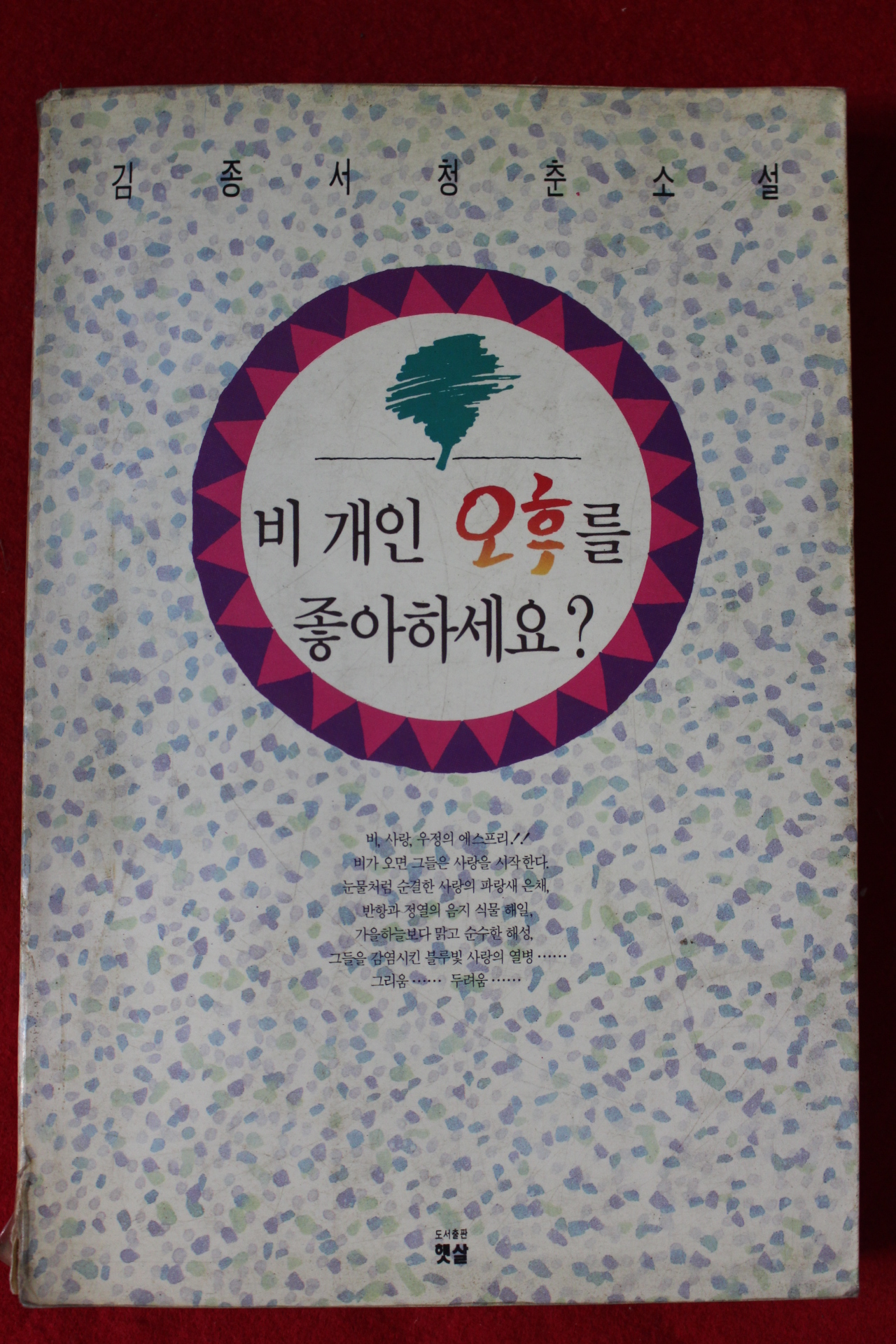 1991년초판 김종서 청춘소설 비개인 오후를 좋아하세요