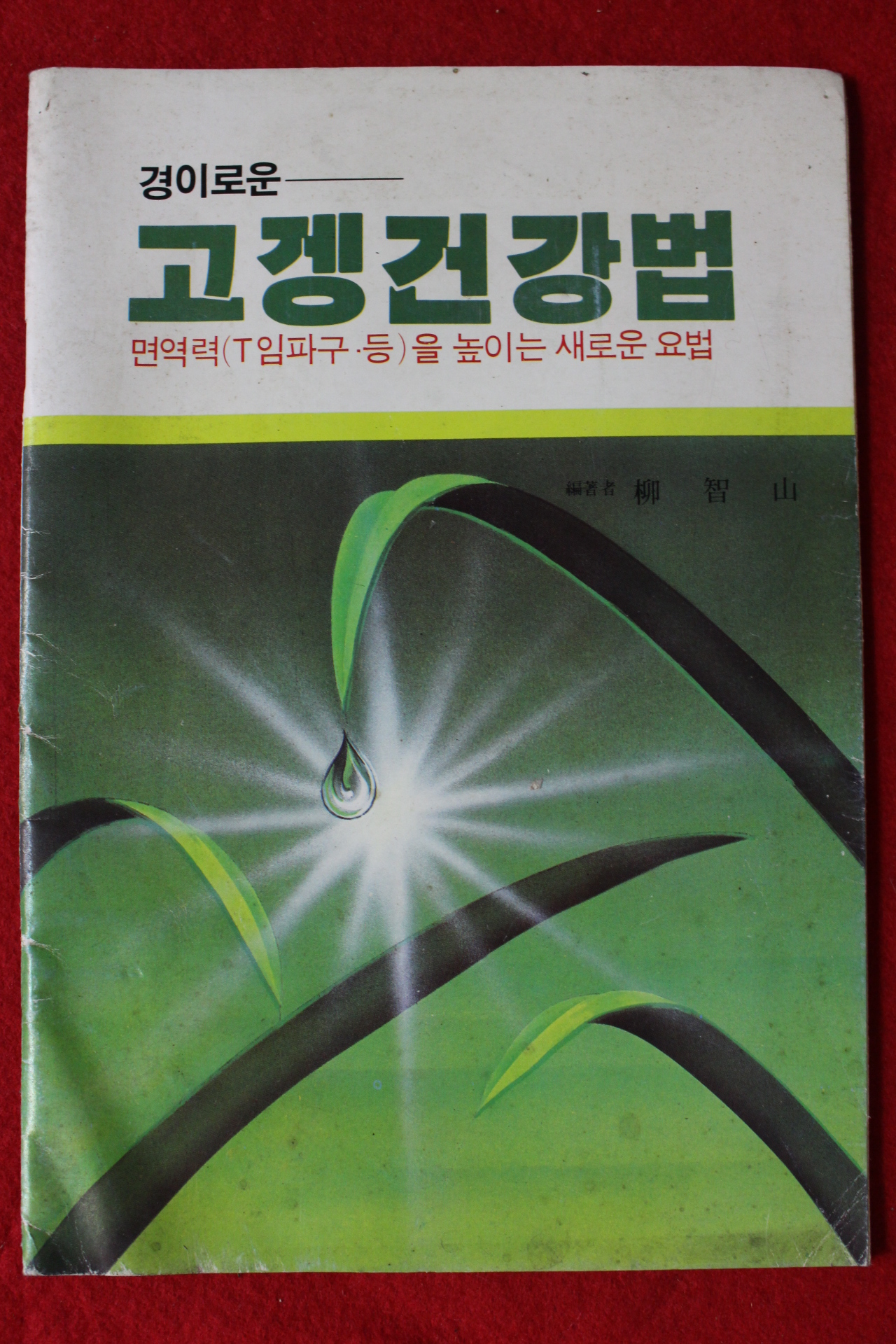류지산(柳智山) 경이로운 고겡건강법