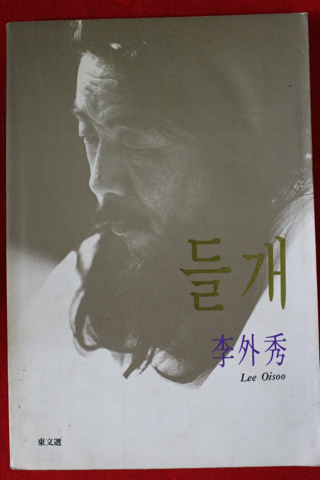 1996년 이외수 소설 들개