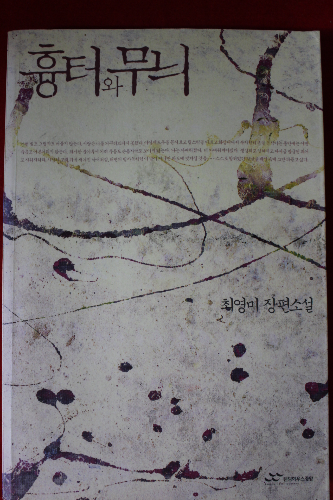 2005년 최영미 소설 흉터와 무늬