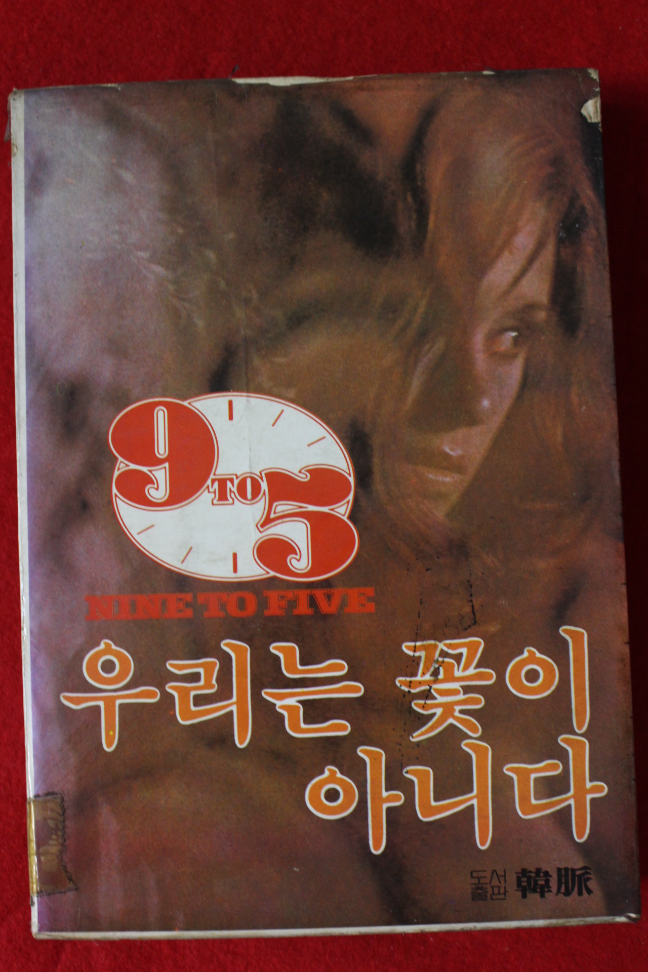 1981년초판 우리는 꽃이 아니다