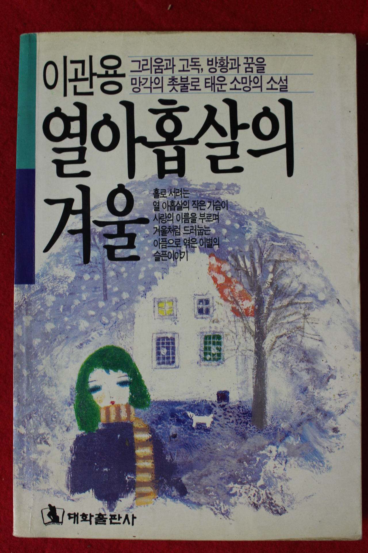 1990년 이관용 열아홉살의 겨울