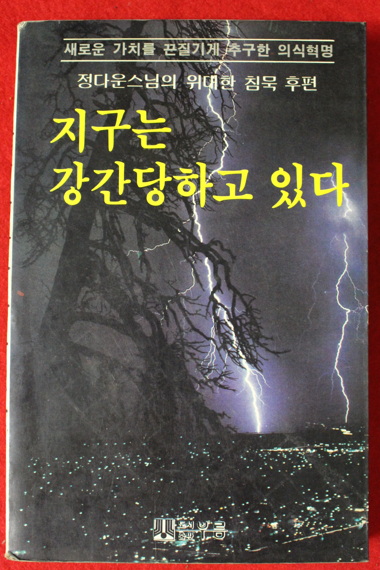 1983년 정다운스님 지구는 강간당하고 있다