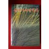 1982년초판 전대웅옮김 제임스 볼드원 산에가서 말하라