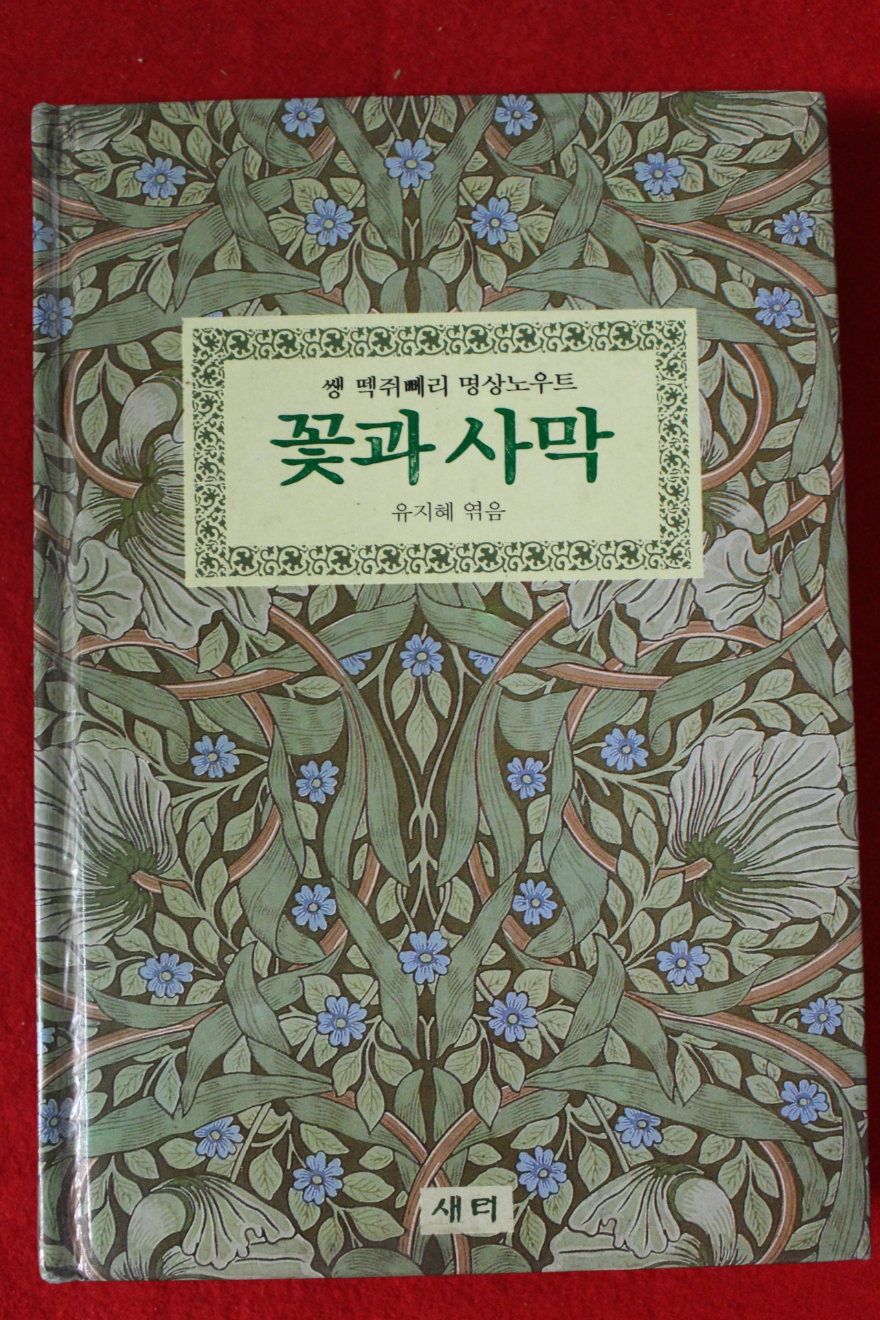 1992년초판 유지혜 꽃과 사막