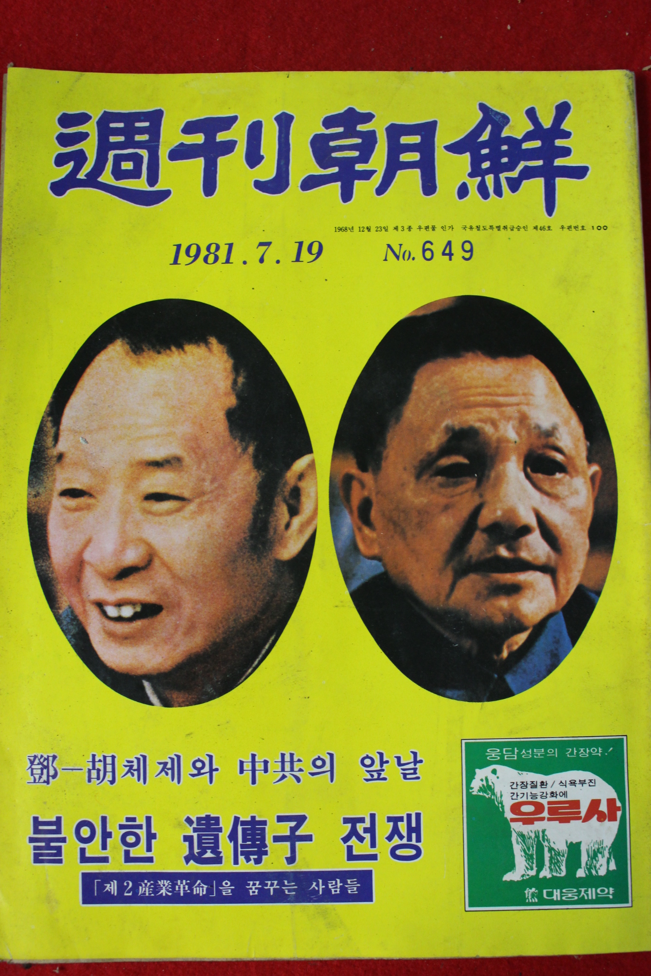 1981년 주간조선 7월19일자