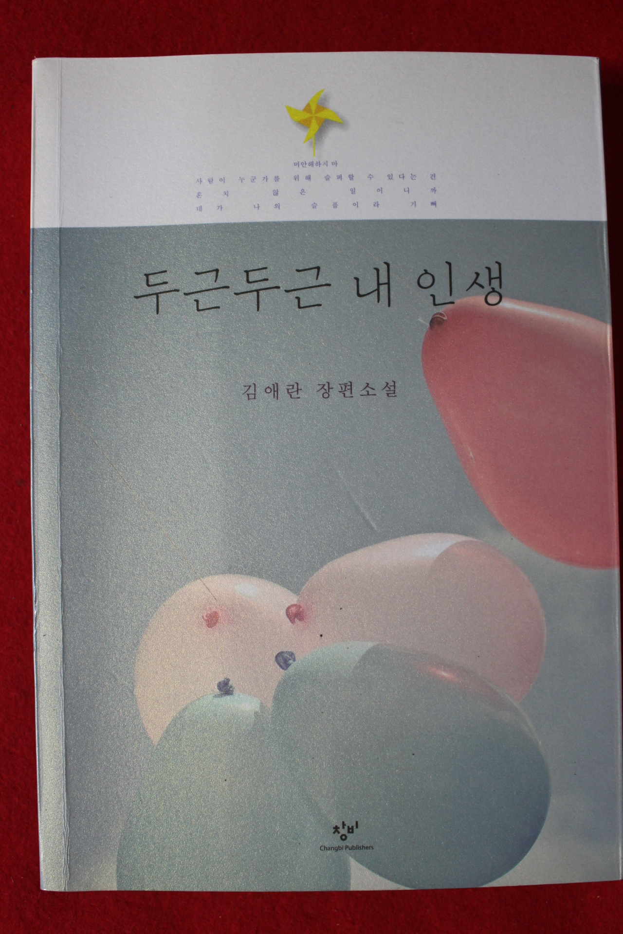 2012년 김애란 장편소설 두근 두근 내 인생
