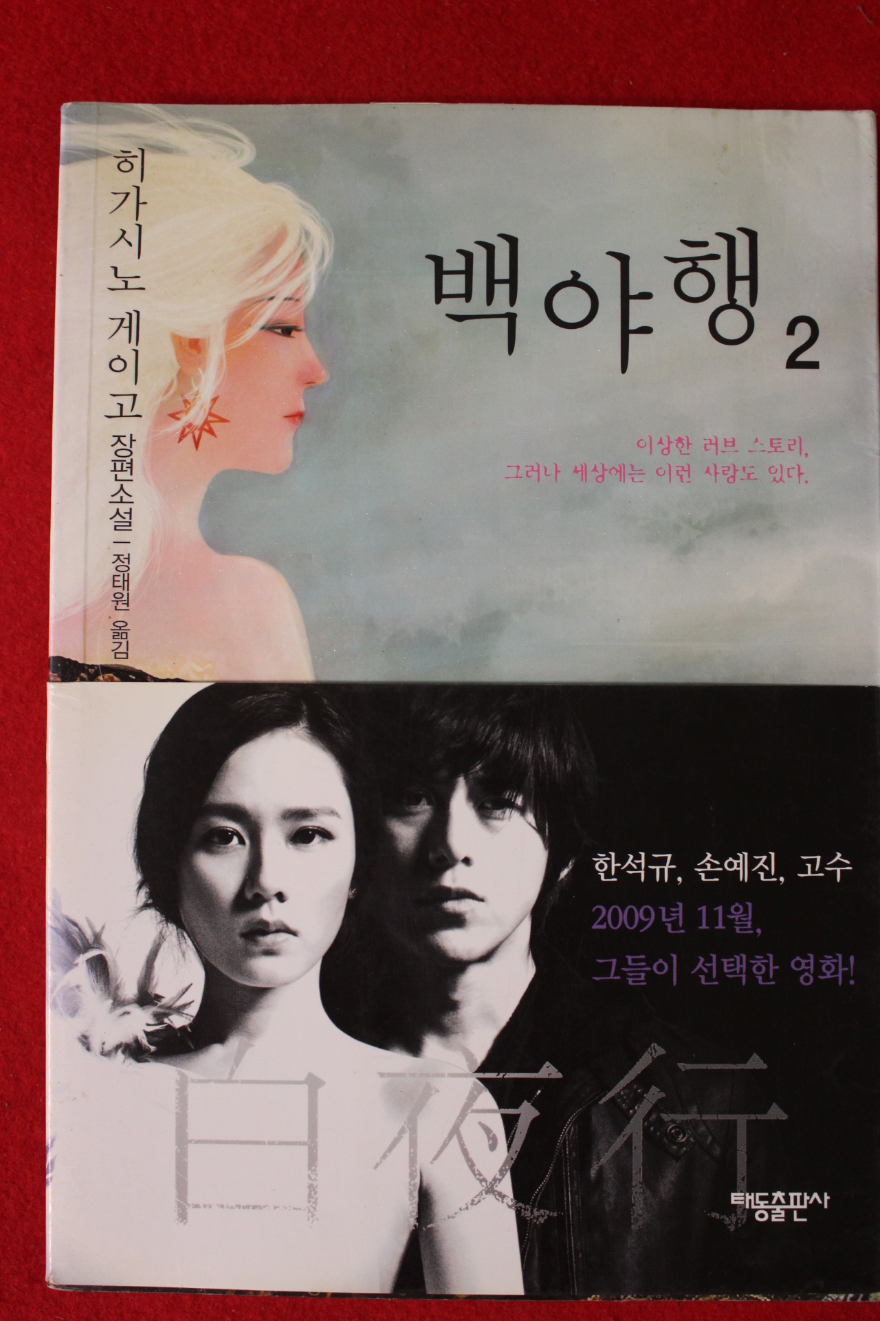 2009년 히가시노 게이고 백야행 2
