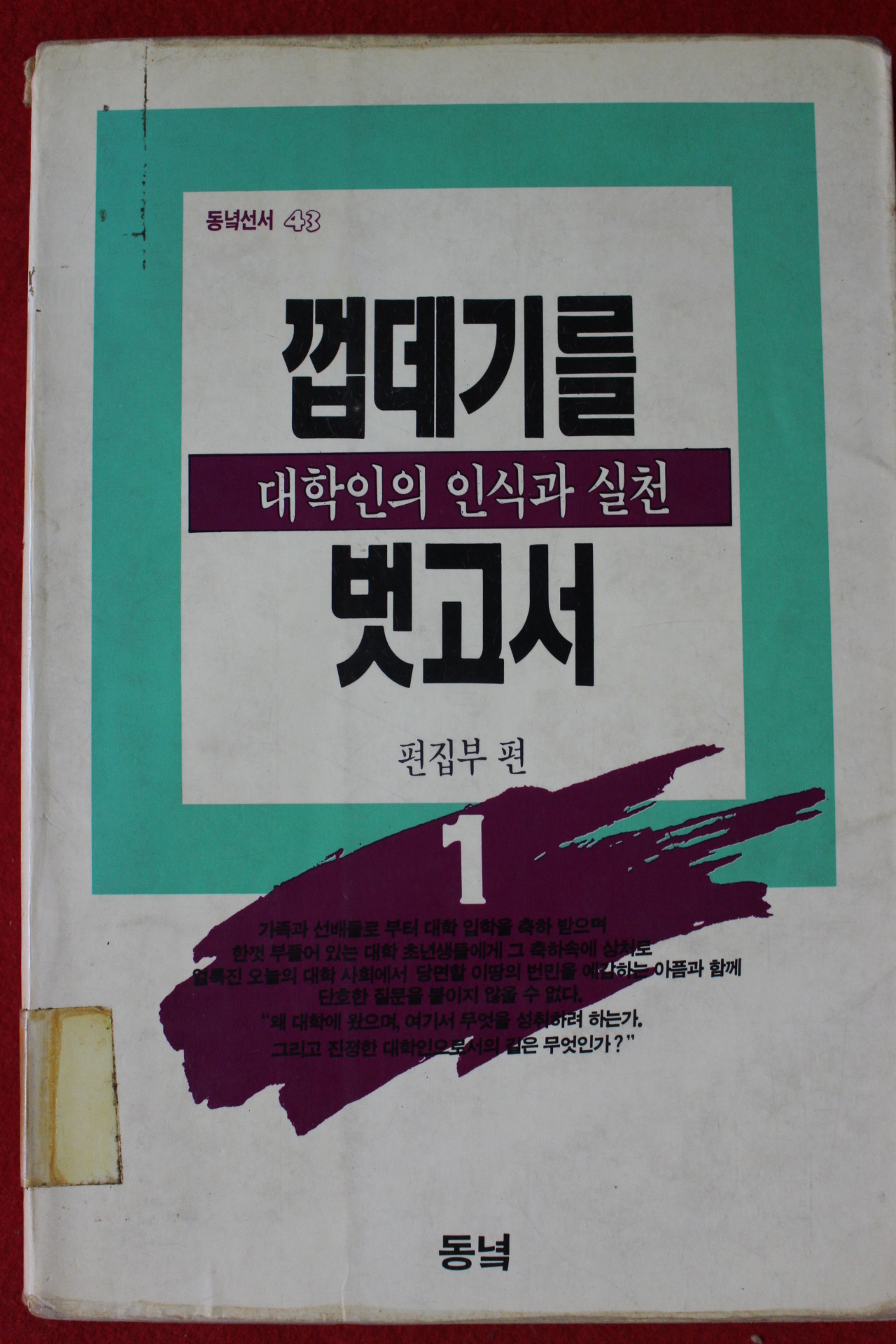 1992년 껍데기를 벗고서