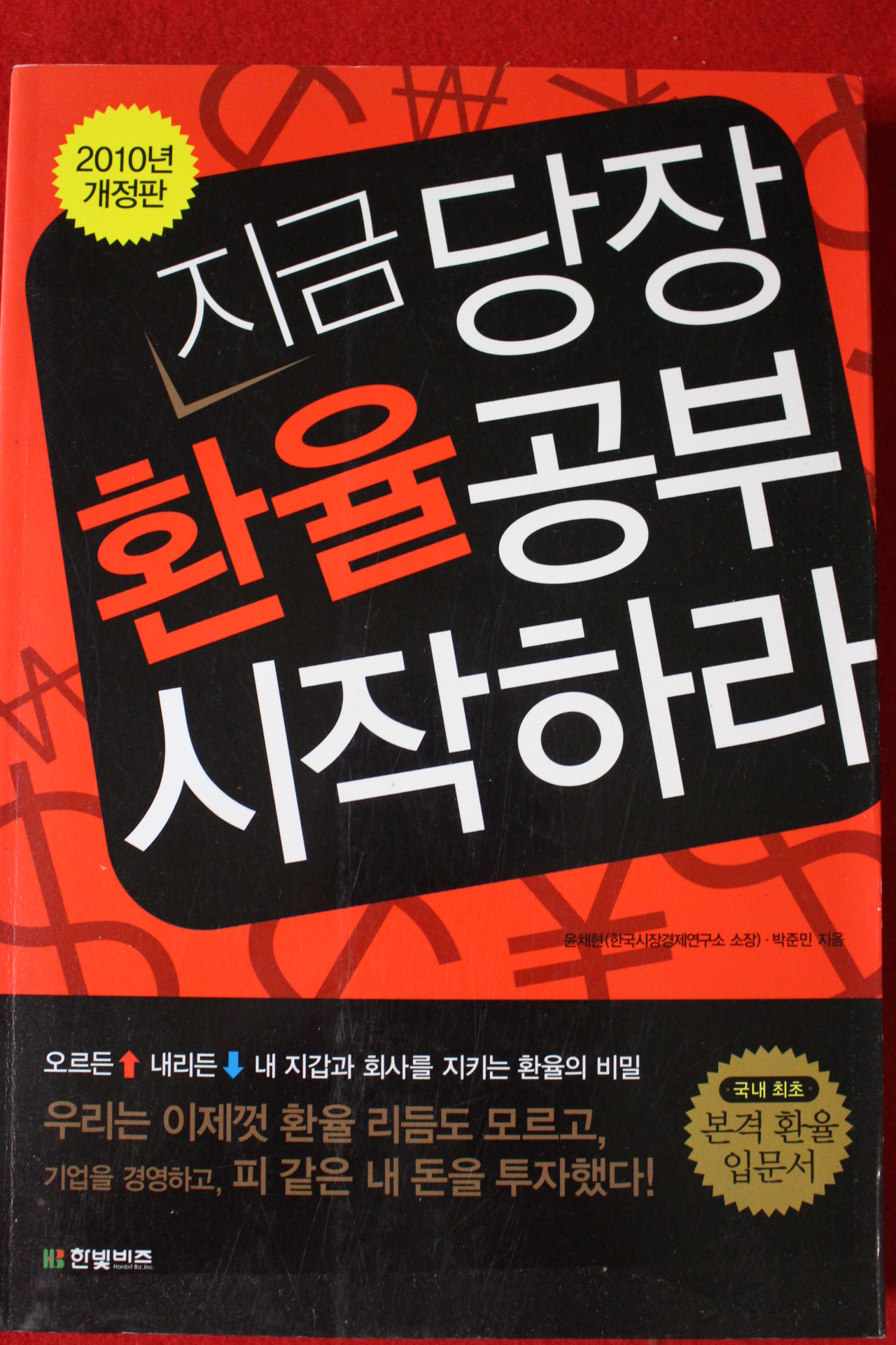 2010년 지금 당장 환율공부 시작하라