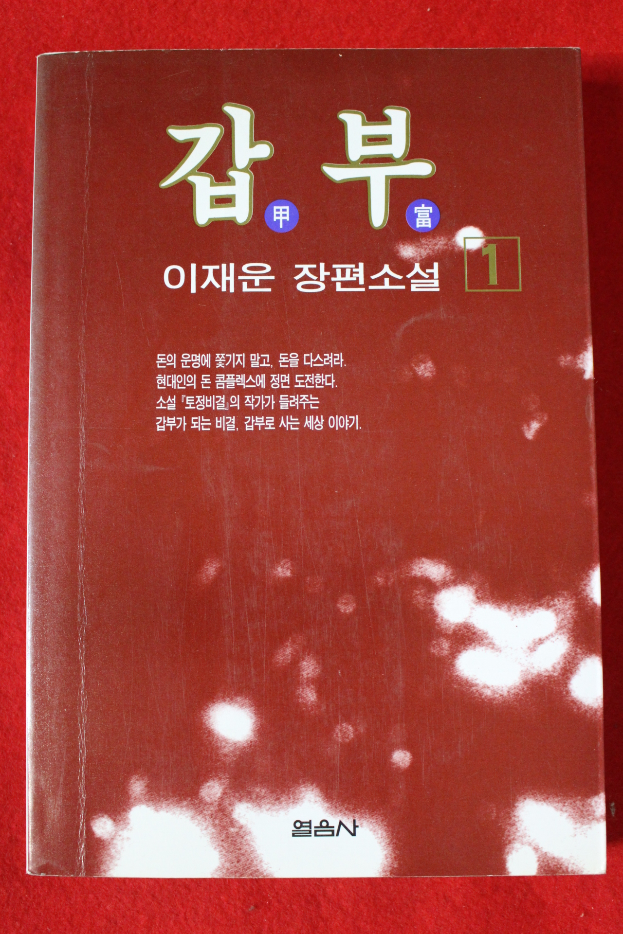 1996년 이재운 장편소설 갑부 1