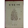 1996년 김종성 절.염불.사리