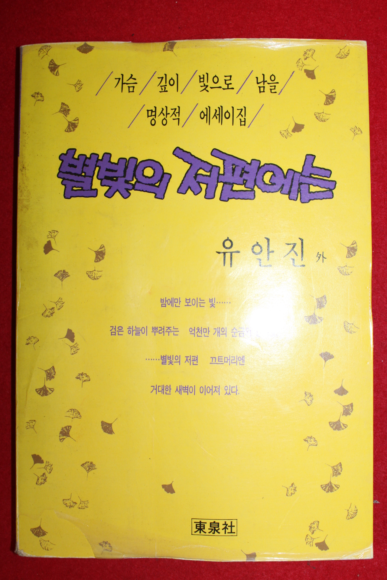 1989년 유안진외 별빛의 저편에는