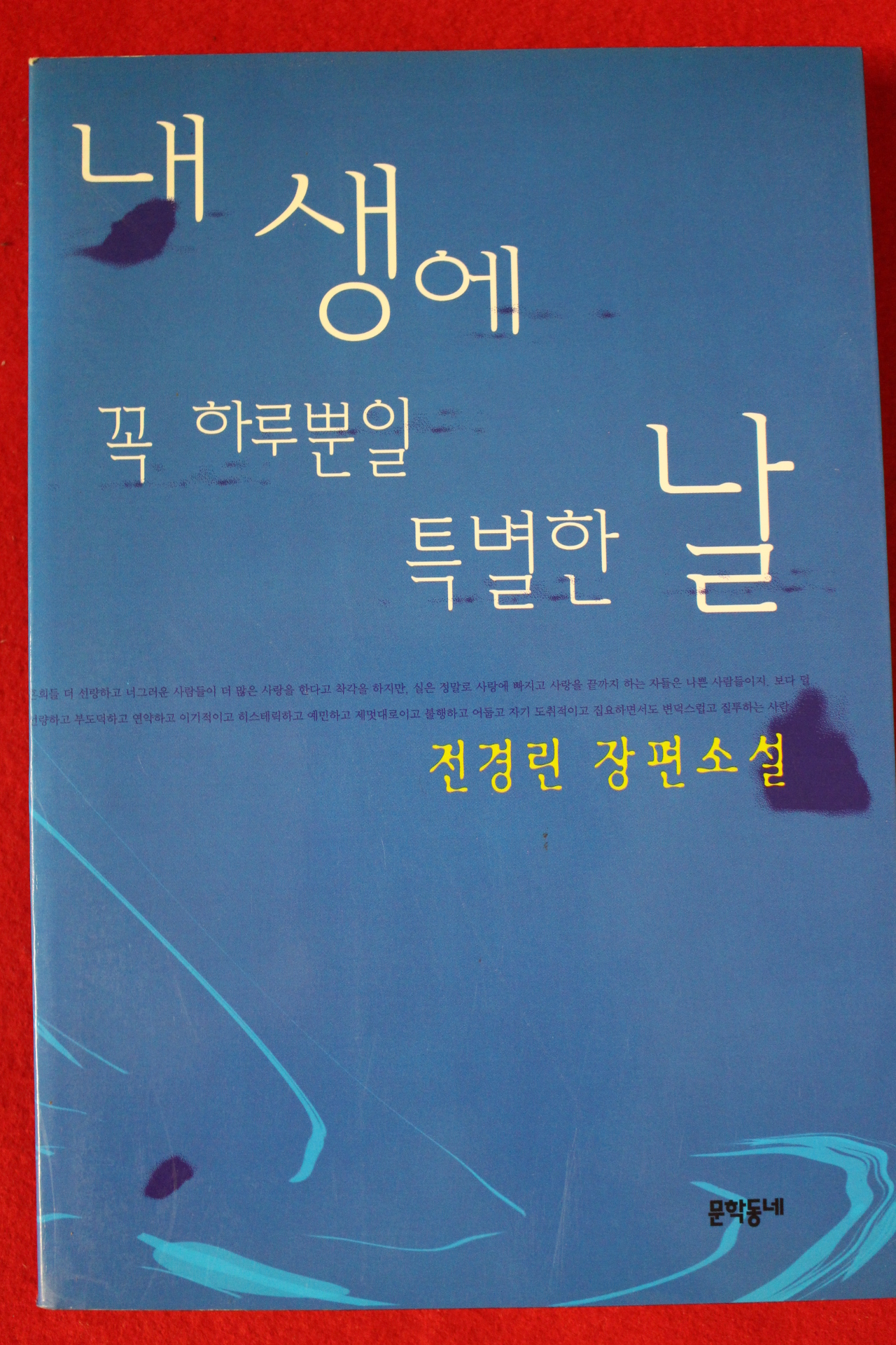 1999년 전경린 장편소설 내생에 꼭 하루뿐일 특별한 날