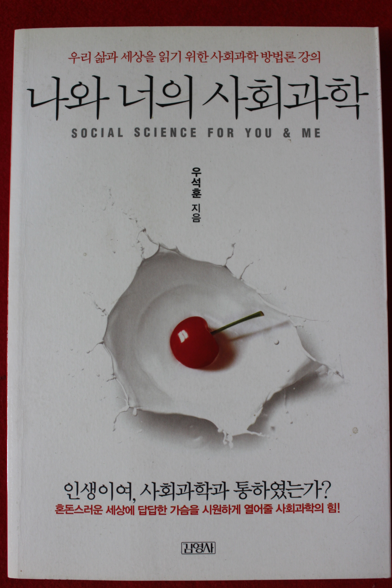 2011년초판 우석훈 나와 너의 사회과학