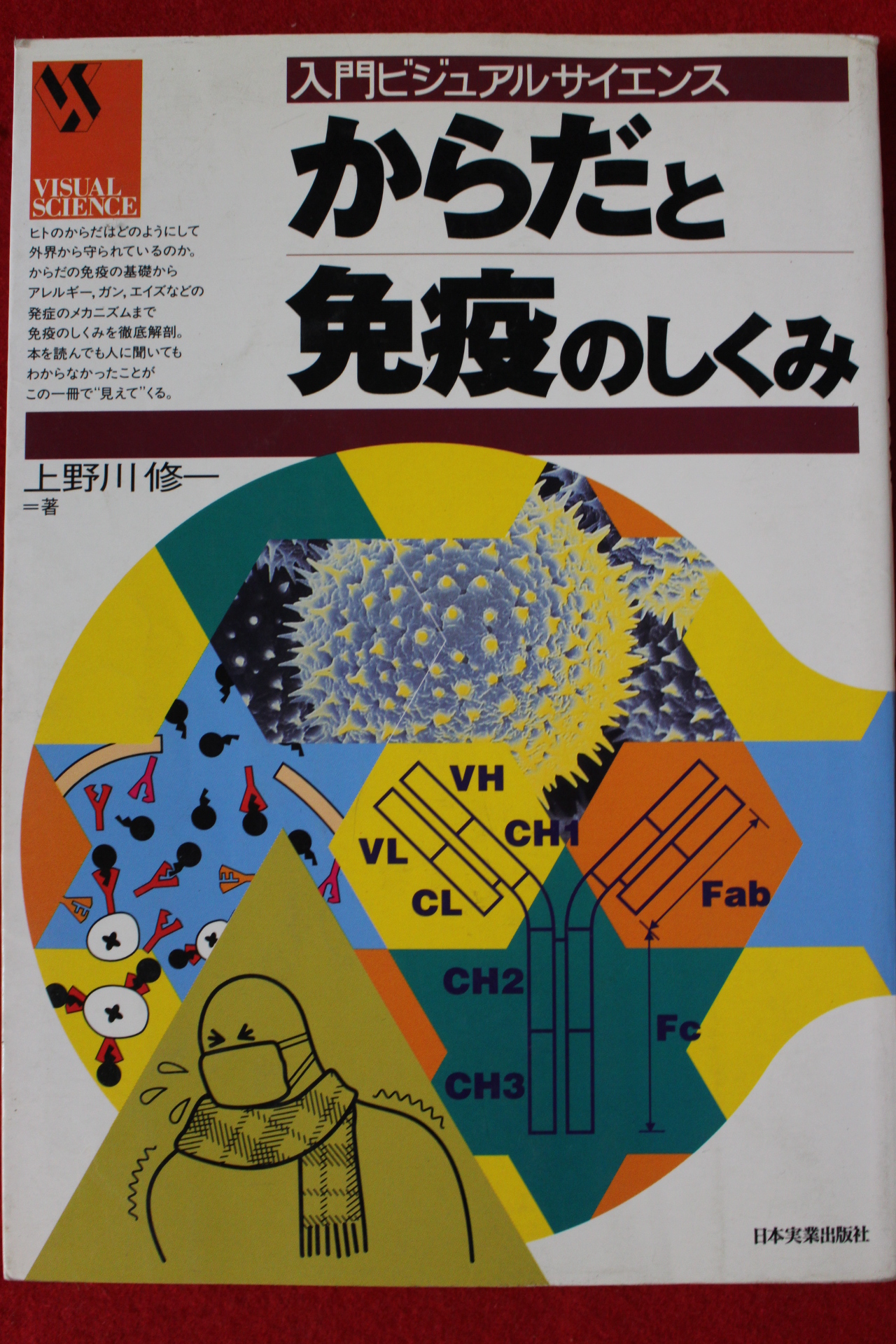 1996년 일본간행본