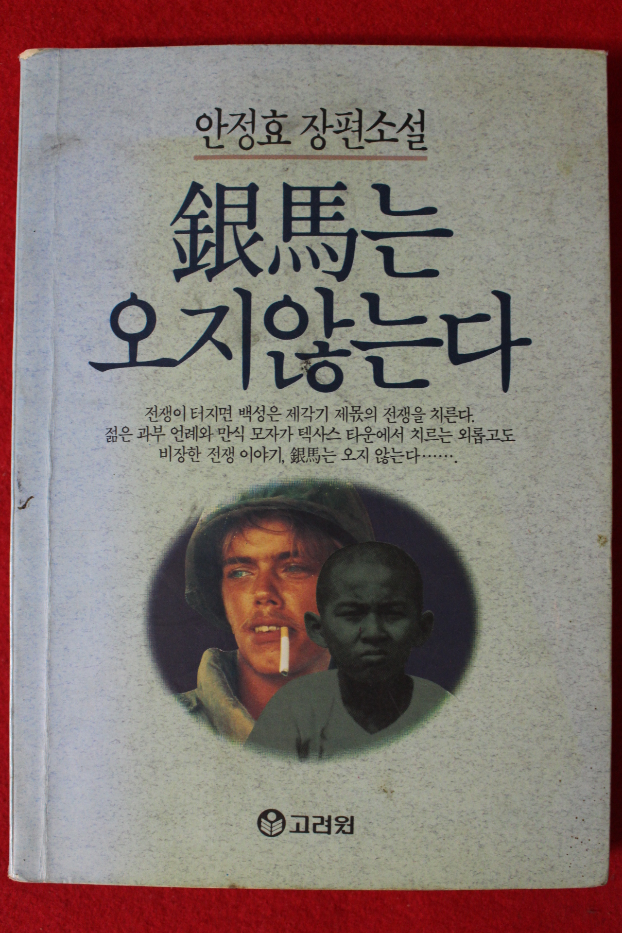 1991년 안정효 장편소설 은마는 오지 않는다