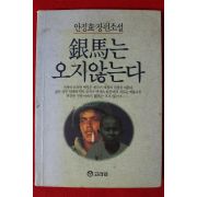 1991년 안정효 장편소설 은마는 오지 않는다