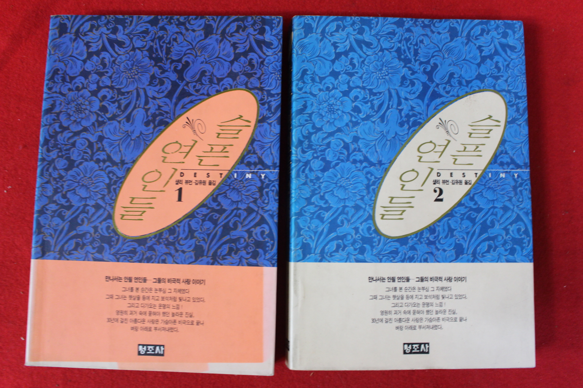 1993년 샐리 뷰먼 김유원옮김 슬픈 연인들 2책완질