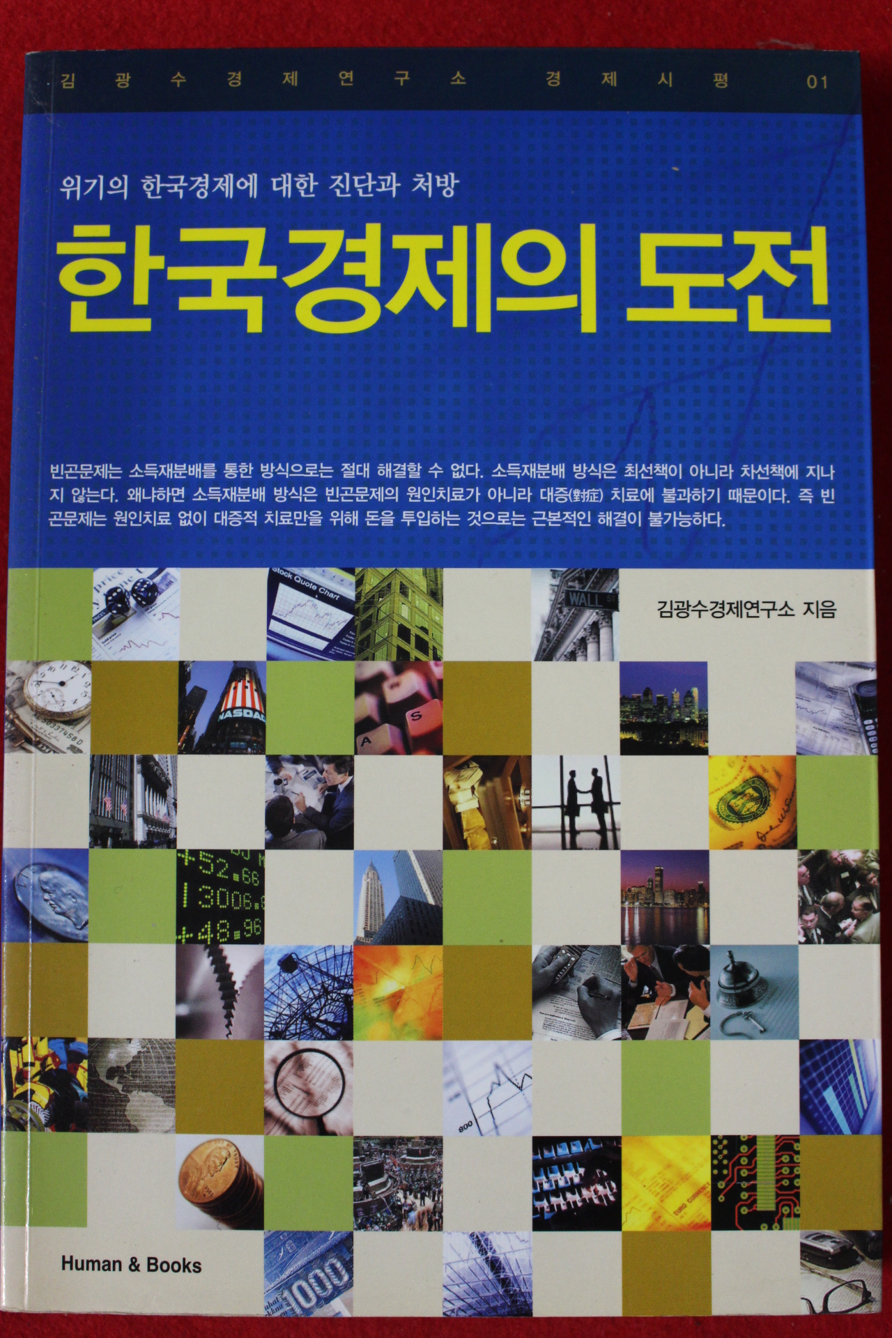 2008년 김광수 한국경제의 도전