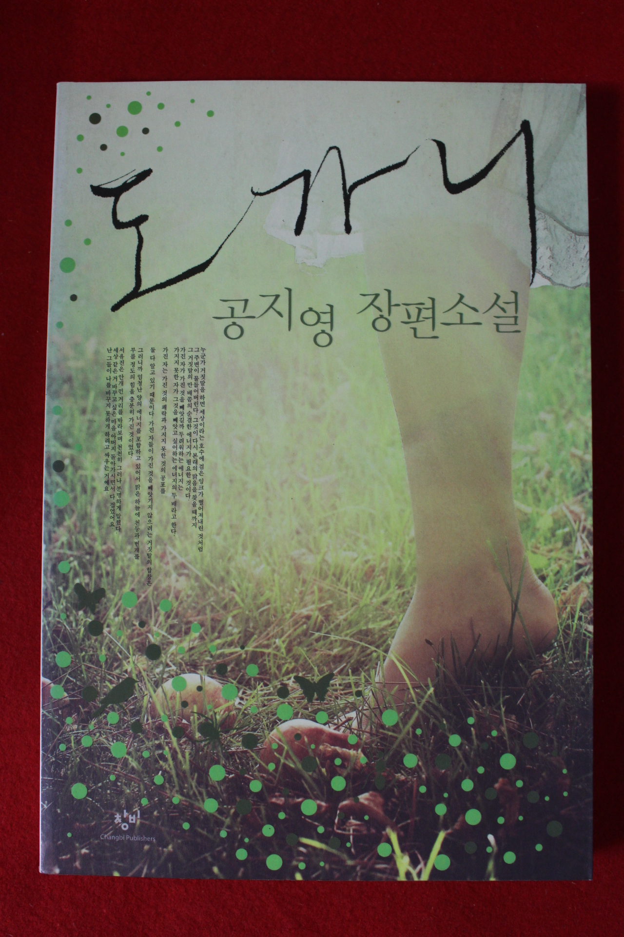 2009년 공지영 장편소설 도가니