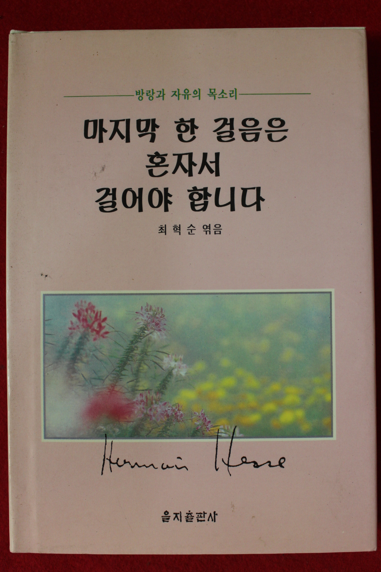 1996년 최혁순엮음 마지막 한 걸음은 혼자서 걸어야 합니다