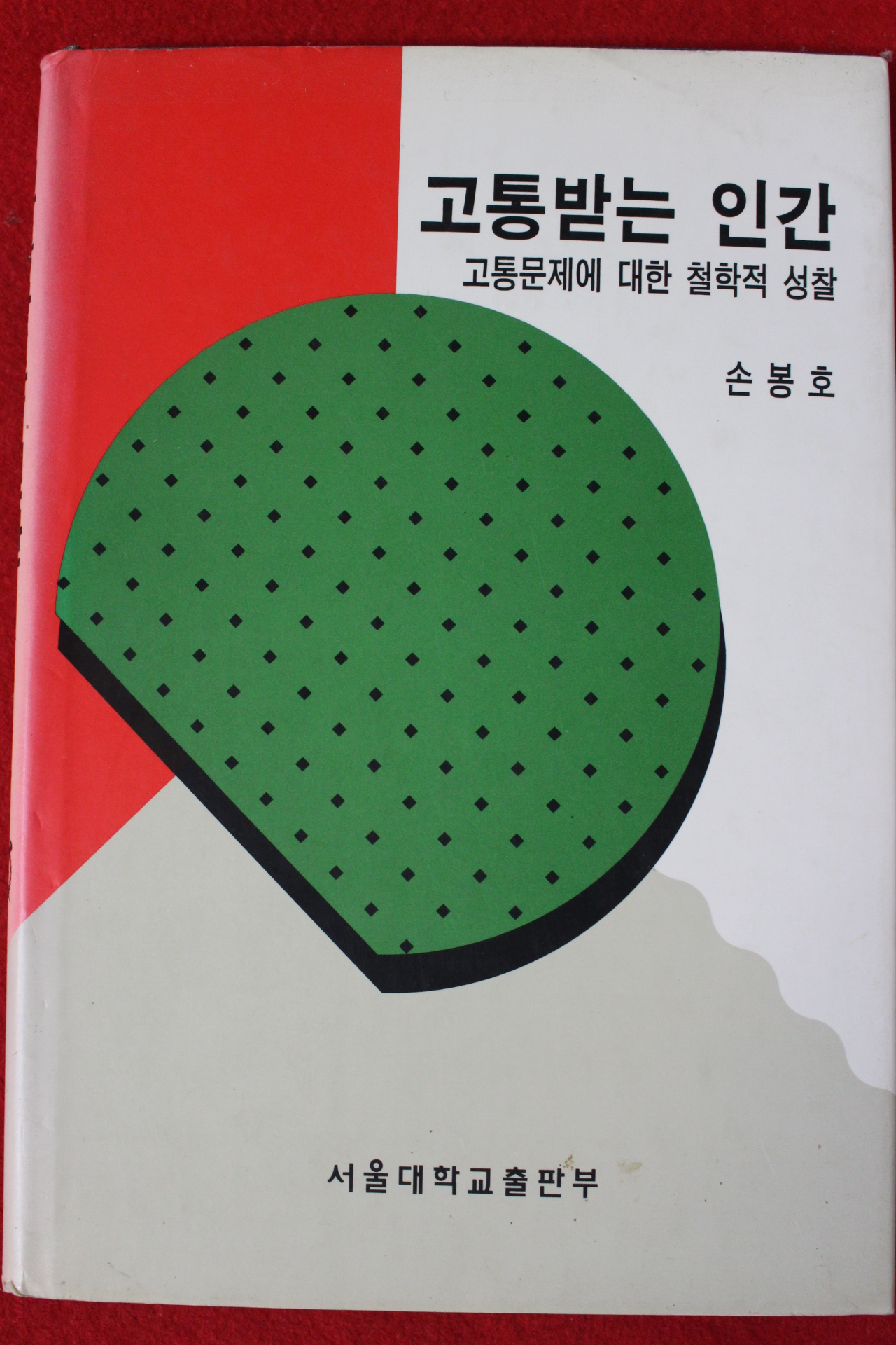 1995년 손봉호 고통받는 인간