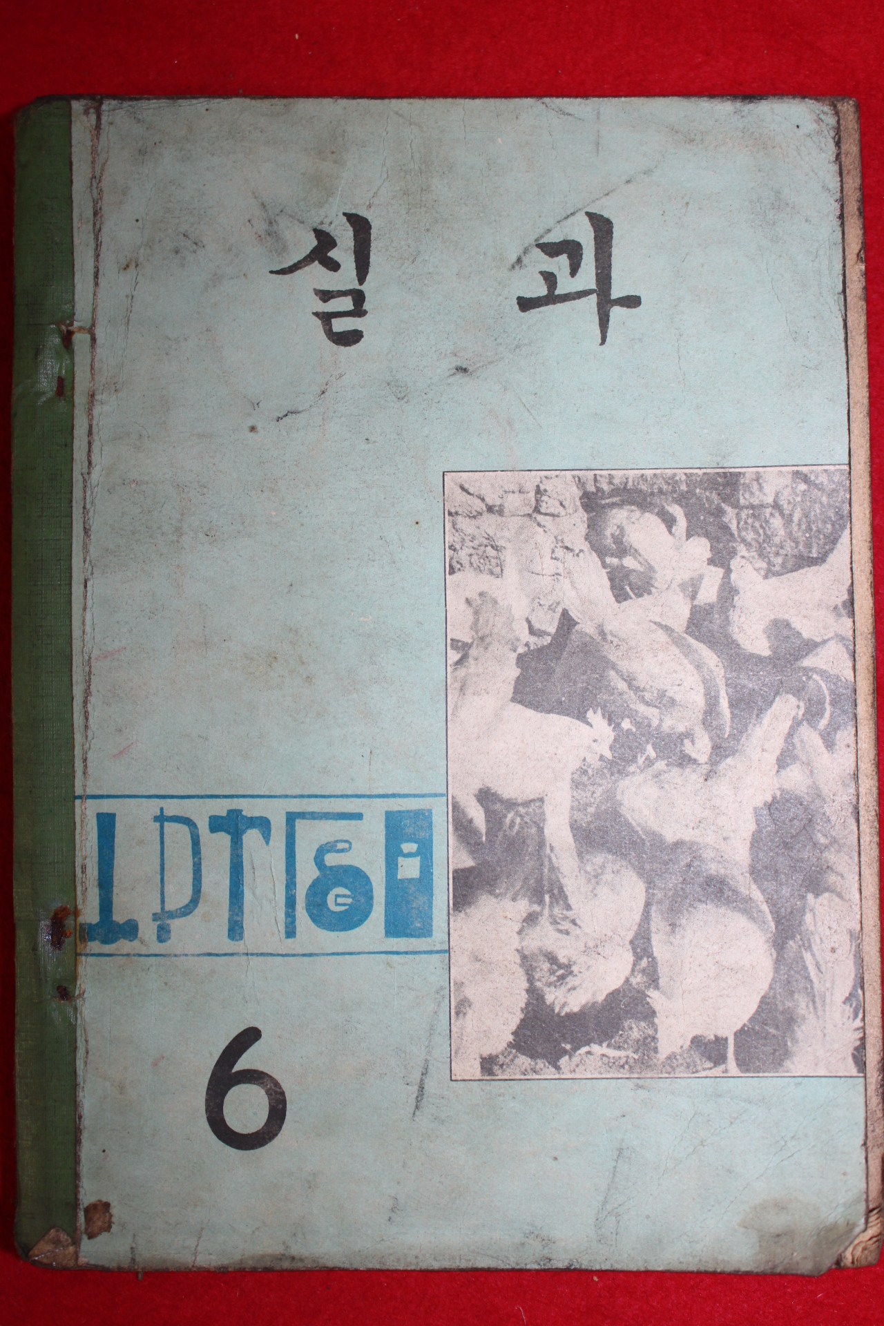 1973년 실과 6