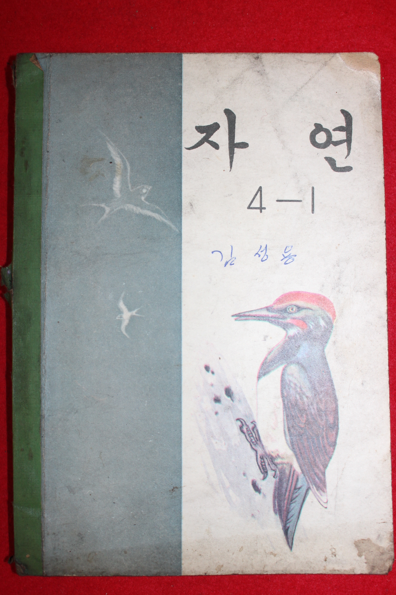 1971년 자연 4-1