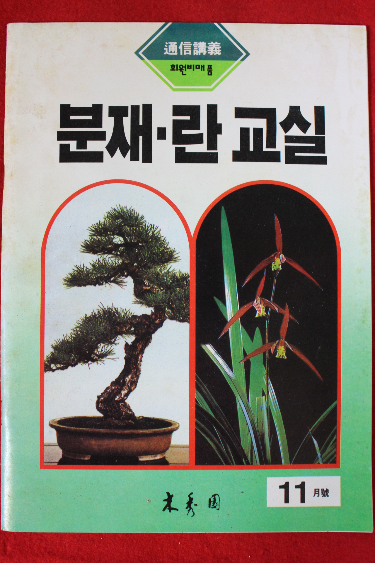 분재.란교실 11월호